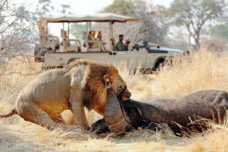 Ruaha-national-park-3